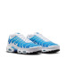 Nike Air Max Plus 