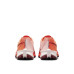 Nike Terra Kiger 10 