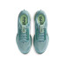 Nike Pegasus Premium 