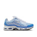 Nike Air Max Plus VII 