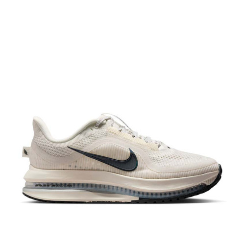 Nike Pegasus Premium W 