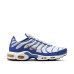 Nike Air Max Plus 