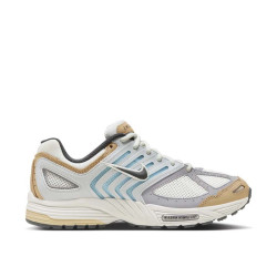 Nike Air Pegasus 2005