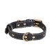 Adidas Pet Collar 