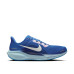 Nike Air Zoom Pegasus 41 CM 