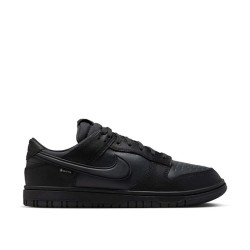 Nike Dunk Low GTX 